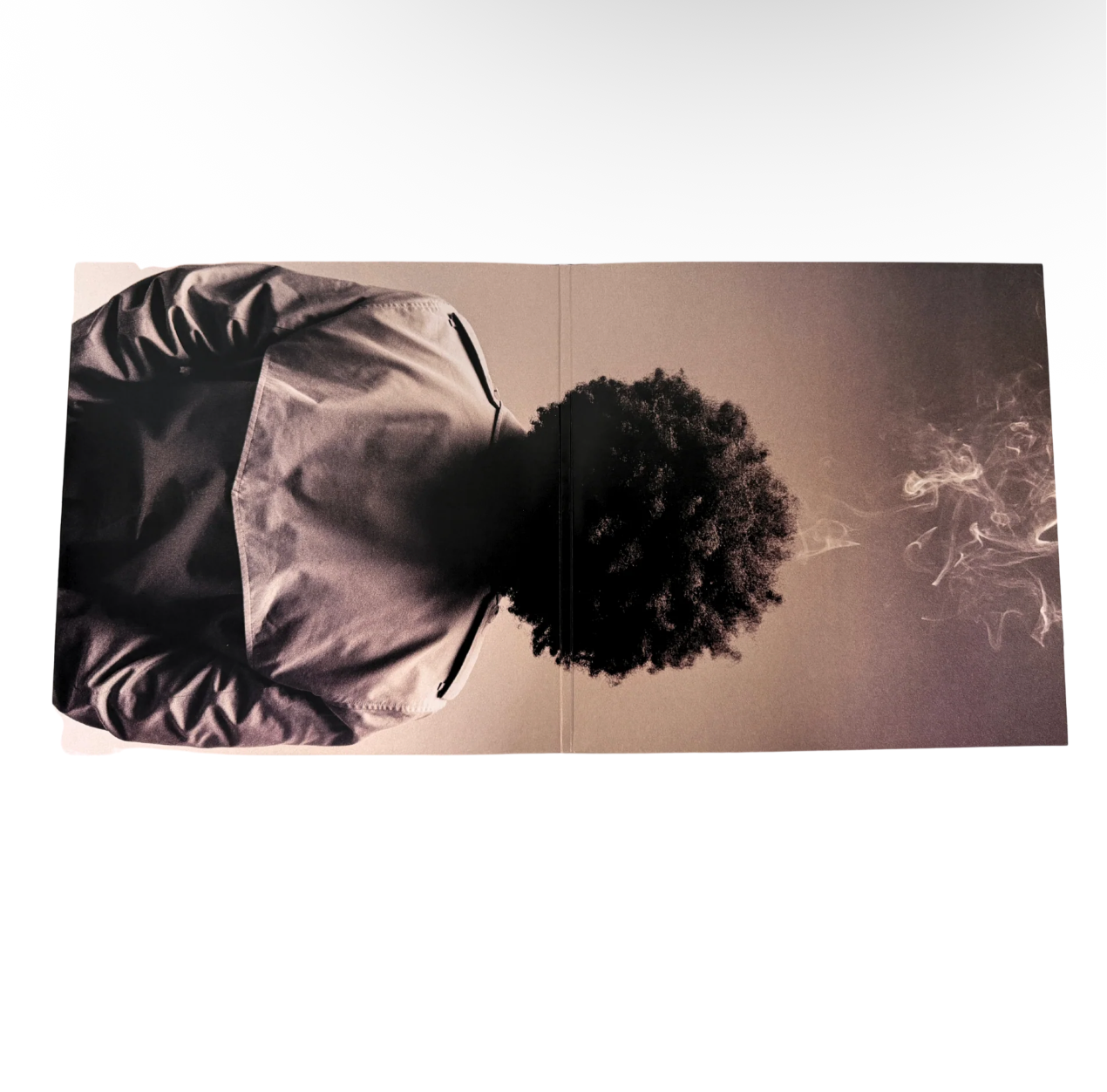 Brent Faiyaz WASTELAND (Gatefold 2LP Vinyl)